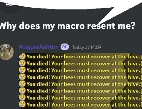Bss Natro Macro Meme - Bss Natro macro Discord - Discover & Share GIFs