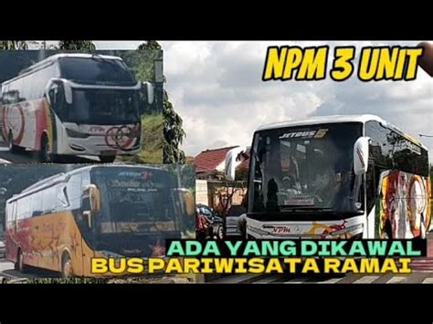 Npm V Penutup Sempati Star Perdana Menuju Medan Ramai Bus Pariwisata