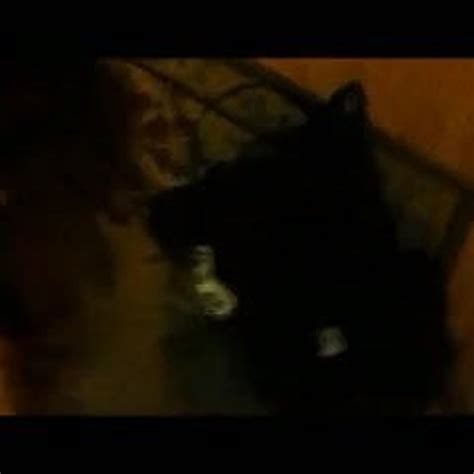 Part Wife Yrs Compilitation Of Facials Amateur XHamster