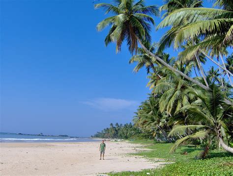 Fájlmatara Beach Sri Lanka Wikipédia