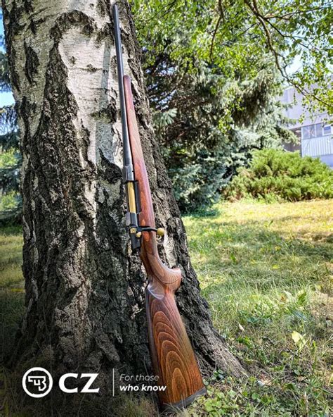 Cz 557 85th Anniversary Limited Edition 308 Win Turkish Wallnut Stock