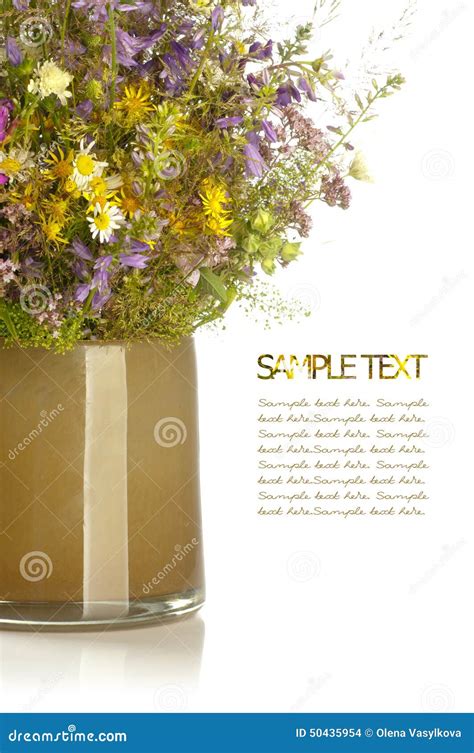 Ramalhete De Flores Selvagens Em Um Fundo Branco Foto De Stock Imagem