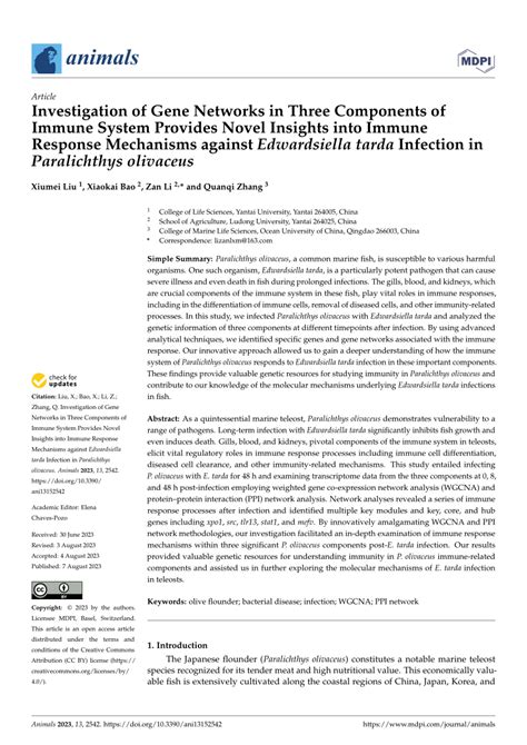 Pdf Investigation Of Gene Networks In Three Components Of Immune