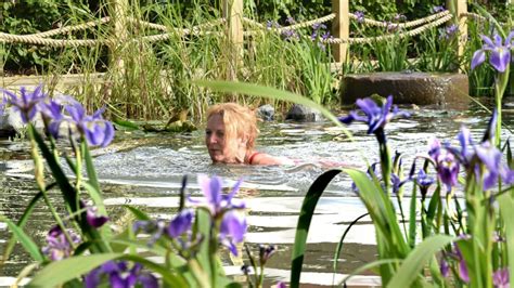 Swimming Ponds By Michael Wheat Natural Swimming Pools