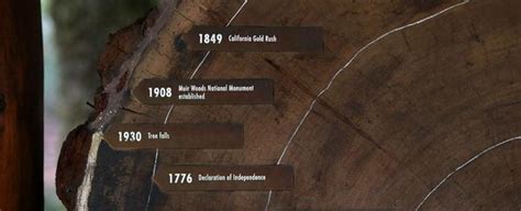 Since Tree Rings Provide A Snapshot Of The Earth S Climate History