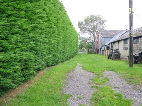 Footpath Wilds Farm Maigheach Gheal Geograph Britain And Ireland