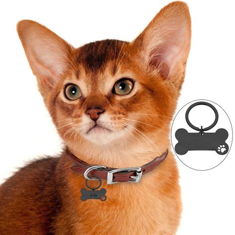 Kaufe St Ck Pet Id Tags Edelstahl Personalisierte Erkennungsmarken