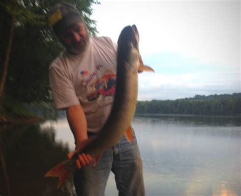 Musky Fishing In Western Pennsylvania Pike And Musky