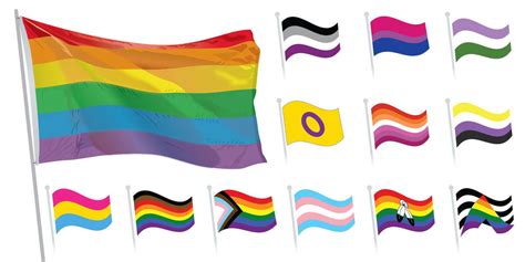 Pride Flag Guide Lgbtq Communitys Varied Flags And Who They Represent