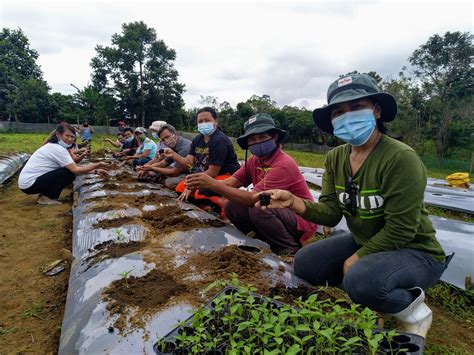 Learning Farm In Bukidnon Philippines East West Seed Knowledge Transfer