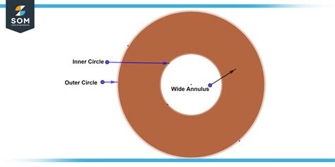 Understanding Annulus in Geometry - A Comprehensive Guide