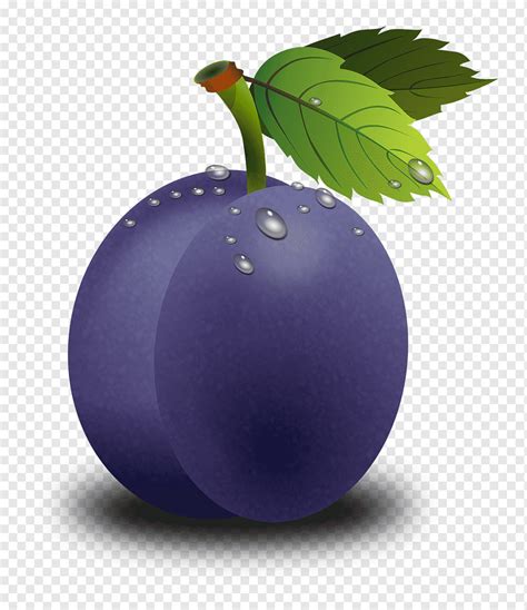 Сливы картинка пнг - Фото подборки 2