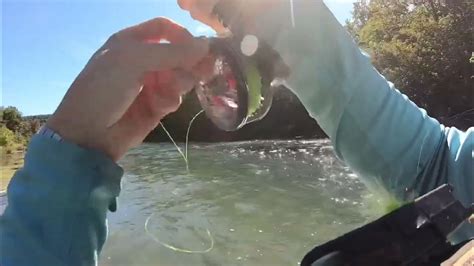 Mo Blue Ribbon Trout Slam Elevenpoint River Youtube