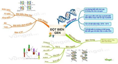 Hướng Dẫn Sâu Sắc Về Đột Biến Gen Sơ đồ Tư Duy Giải Thích Và Sử Dụng