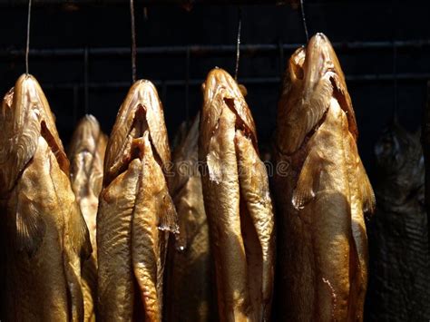 Smoked Fish Stock Image Image Of Pantry Fishery Fried 25734937