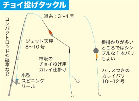 カレイの釣り方 関西のつりweb 釣りの総合情報メディアmeme