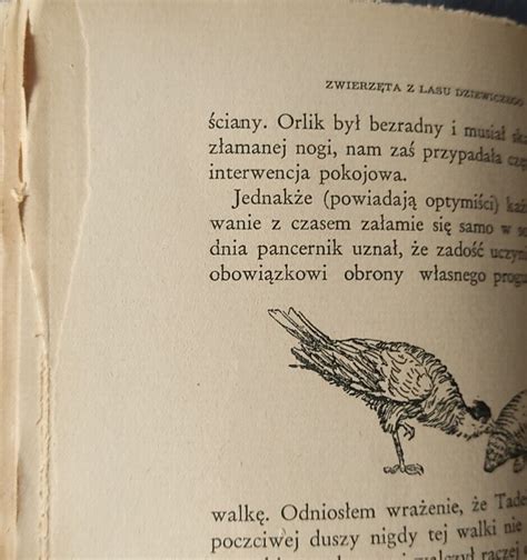 Zwierzeta Z Lasu Dziewiczego Arkady Fiedler Polish Book