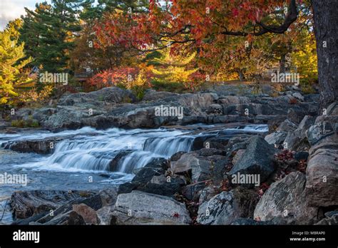 South Bala Falls And Autumn Colours In Bala Muskoka Ontario Canada