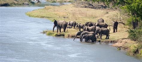 Exclusive Travel Tips for Majete Wildlife Reserve in Malawi