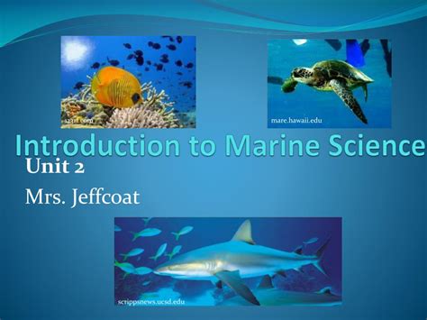 Ppt Introduction To Marine Science Powerpoint Presentation Free