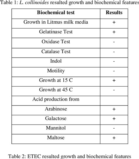 Table From Probiotic Antagonistic Effects Of Lactobacillus