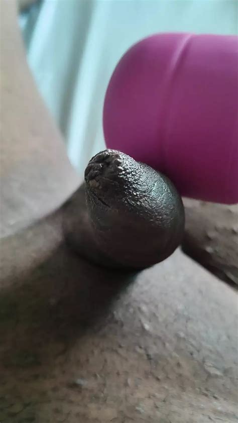 Small Cock Under Foreskin Singaporean Gay Vibrator Masturbation Porn XHamster