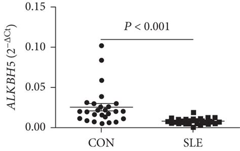 Differential Expression Screening Of Mettl Mettl Wtap Alkbh