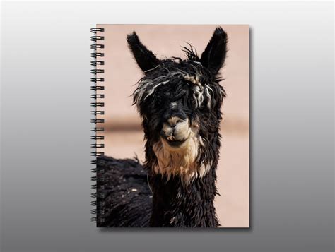 Spiral Notebook – Sultry Suri Alpaca – Moment of Perception Photography