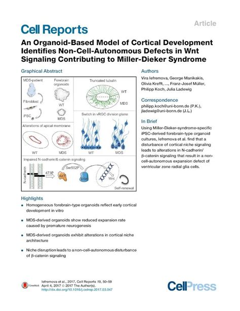 Pdf An Organoid Based Model Of Cortical Development Identifies