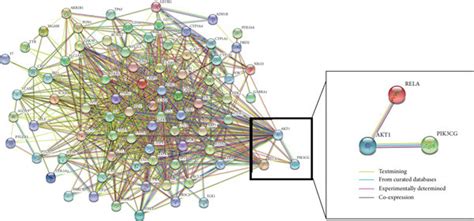 Construction And Analysis Of The Network Pharmacology A