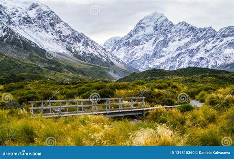 Valley, Aoraki/Mount Cook National Park, New Zealand Royalty-Free Stock ...