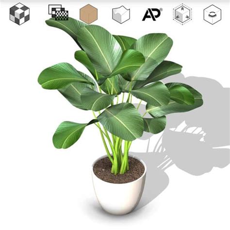 revit real plants families hedges shrubs ivies flowers grass