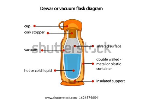 Vektor Stok Dewar Vacuum Flask Fully Diagram Isolated Tanpa Royalti