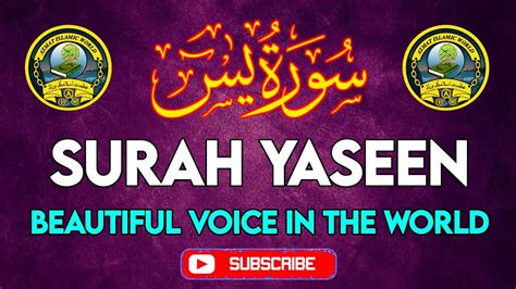 Surah Yasin Yaseen With Arabic Hd Text Beautiful Voice In The World