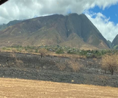 Helping Maui Recover After The Wildfires