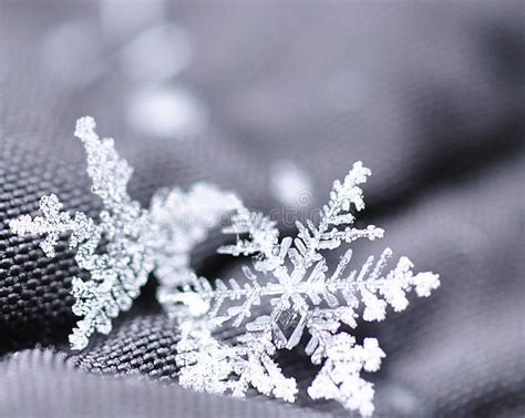 Beautiful Snowflakes Seen Up Close Stock Photo Image Of Winter Snow