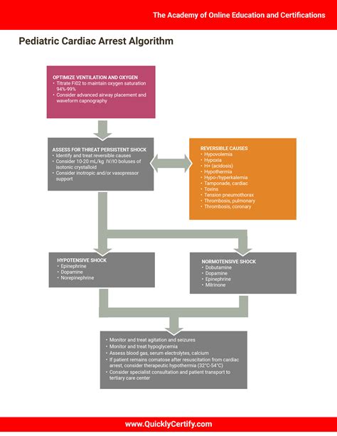 Pediatric Advanced Life Support Algorithms The Academy Of Online