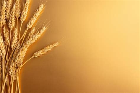 Premium Photo A Close Up Of A Bunch Of Wheat