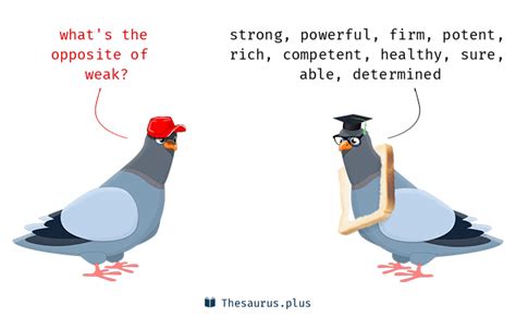 weak synonyms  weak antonyms similar   words  weak