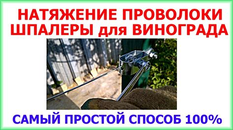 Виноградник. Самое БЫСТРОЕ НАТЯЖЕНИЕ ПРОВОЛОКИ для шпалеры. Простой ...
