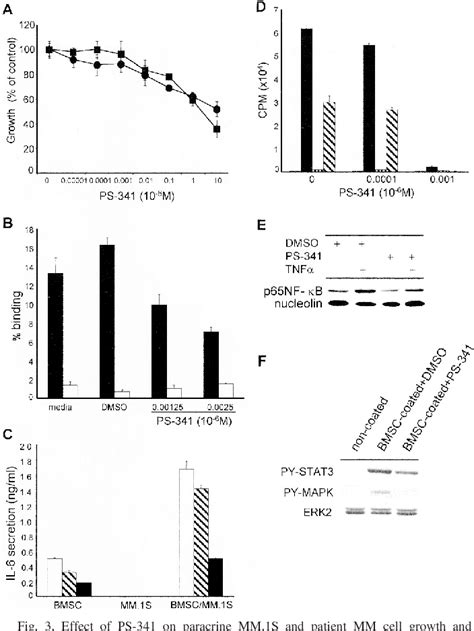 Figure 3 From The Proteasome Inhibitor PS 341 Inhibits Growth Induces