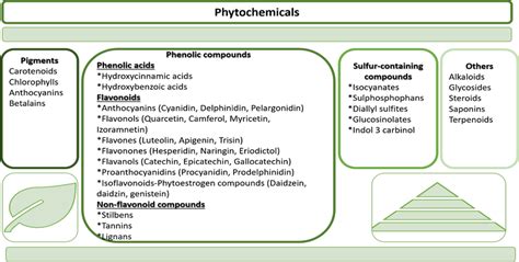 Classification Of Phytochemicals Adapted From Reference [14