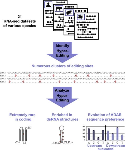 Rna Seq Reveals Massive A To I Rna Editing Across The Metazoa Rna Seq Blog