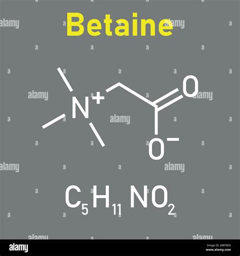 Chemical Structure Of Betaine C H No Chemical Resources For