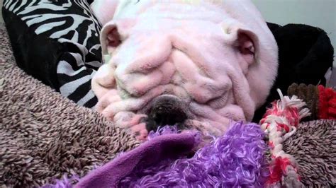 Tupper Snoring Mp Youtube