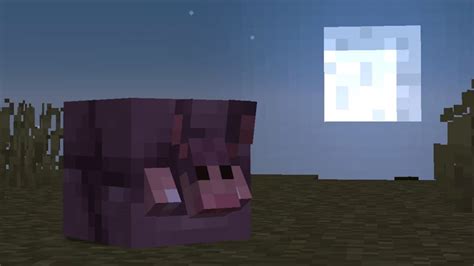 Armadillo Scutes Minecraft How To Get Them Minecraft Tutos