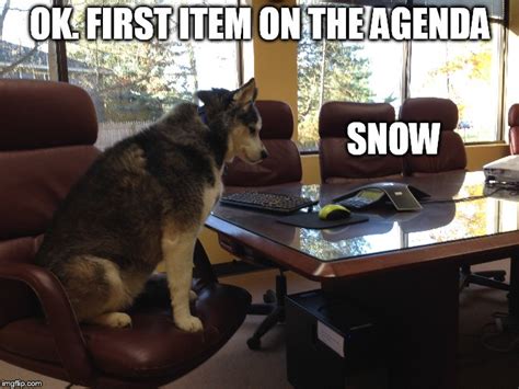 Conference Call Meme