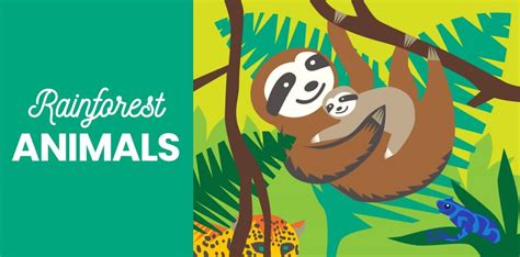 40 Rainforest Animals - Birds, Mammals, and More from Little Passports