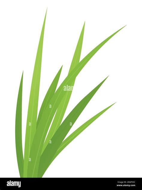 Blade Of Grass Vector