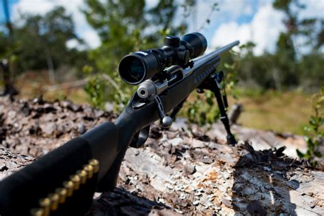 4 Best Hunting Rifles for Deer - Hafaspot